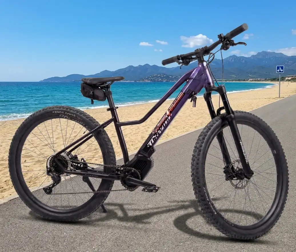 VTT Electrique